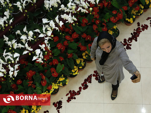 شانزدهمین نمایشگاه بین المللی گل و گیاه تهران