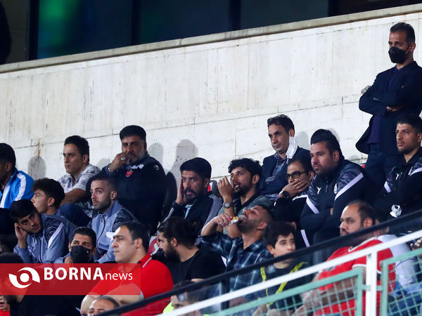 دیار تیم های پرسپولیس - پیکان