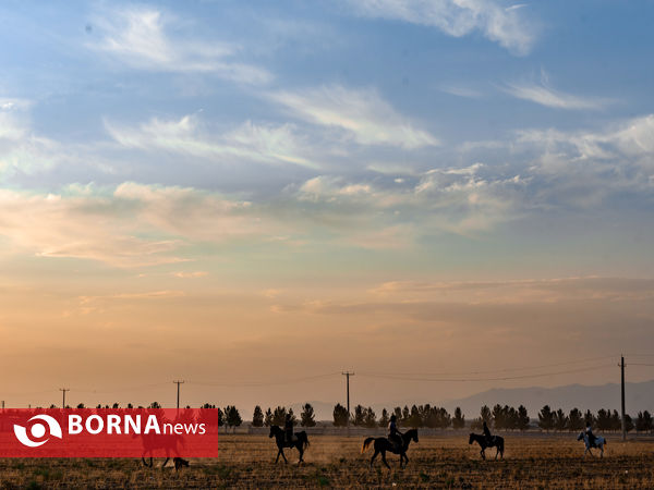 اولین دوره ی مسابقات کوآلیفیکیشن کمانگیری روی اسب