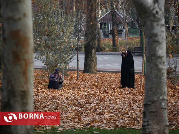 واپسین روزهای پاییزی تهران