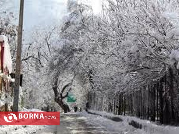 بارش برف در یاسوج