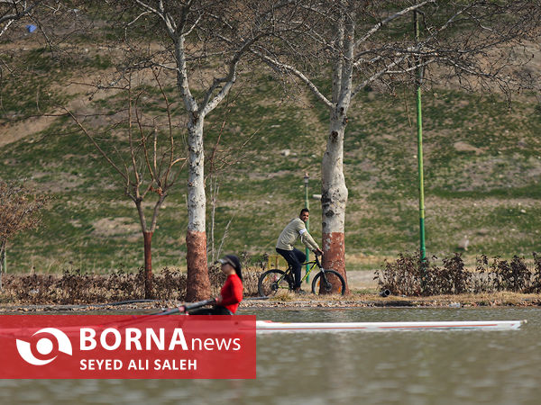 مسابقات قهرمانی کشور رویینگ بانوان