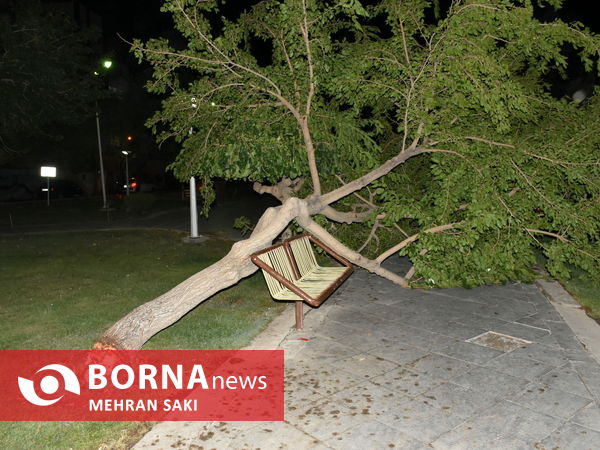 خسارت های باران و طوفان در اراک