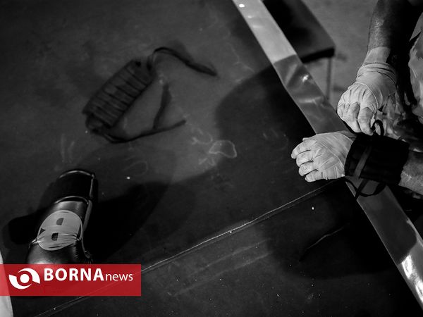امیر علی اکبری قهرمان رشته MMA