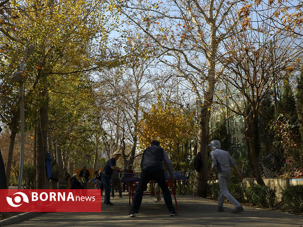 روزهای پایانی پاییز در پارک لاله