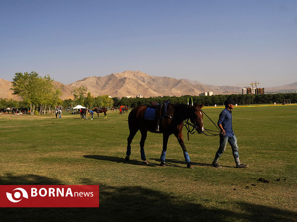 در حاشیه مسابقات چوگان قهرمانی استان تهران