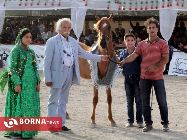 جشنواره بین المللی زیبایی اسب اصیل ایرانی در شیراز