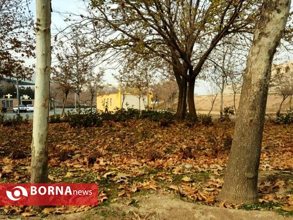 آخرین لحظات پاییزی