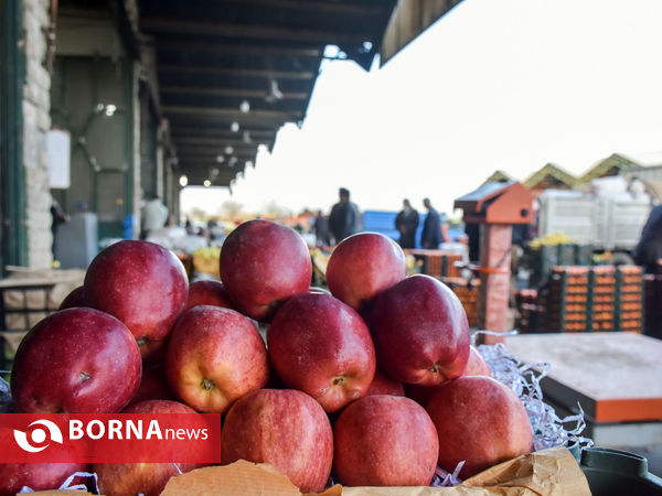 میدان میوه و تره بار در روزهای پایانی سال