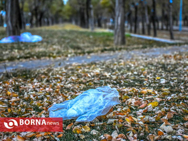 پاییز کرونایی