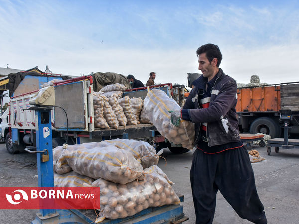 میدان میوه و تره بار در روزهای پایانی سال