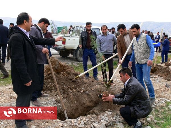آغازفعالیتهای درختکاری در رومشکان درآستانه هفته منابع طبیعی