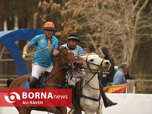 مسابقات چوگان جام قهرمانی باشگاه‌های کشور