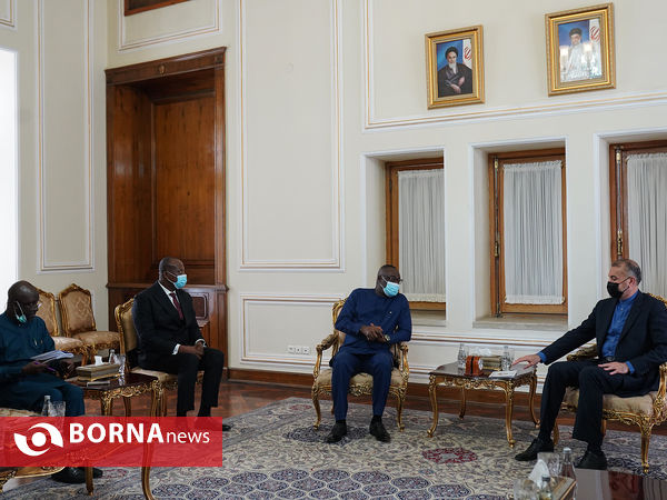 دیدار وزیر فرهنگ غنا با امير عبداللهيان