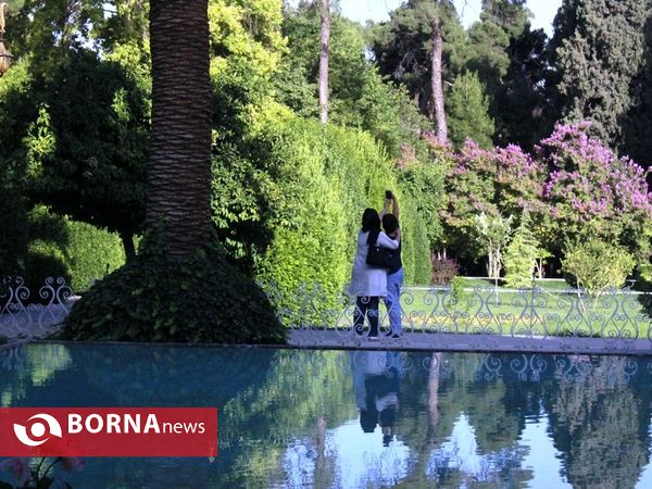 آخرین روزهای بهاری باغ ارم شیراز
