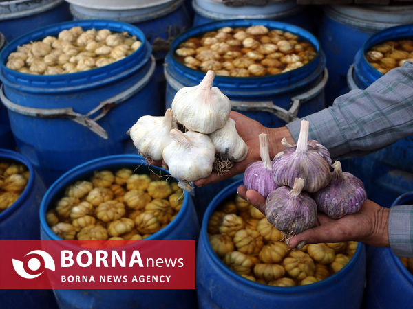 تیمورلو، پایتخت سیر ایران