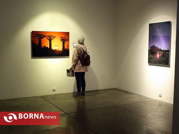 نمایشگاه عکاسی "شب پیداست"