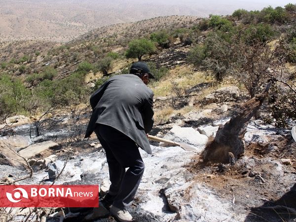مهار آتش در ارتفاعات پاسارگاد