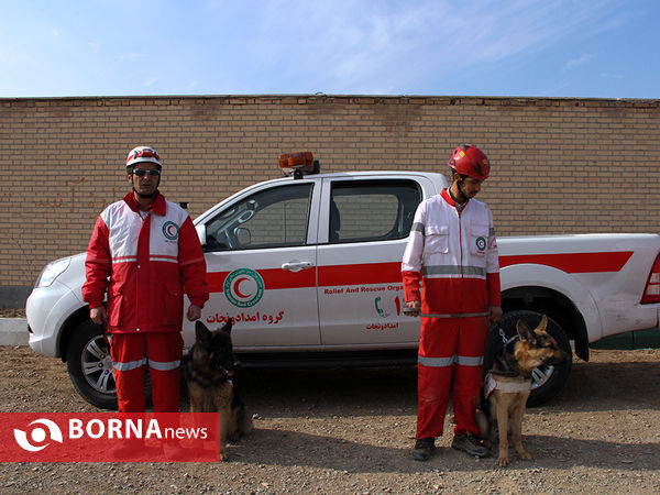 بازدید خبرنگاران از مرکز آموزش و نگهداری سگ های تجسس