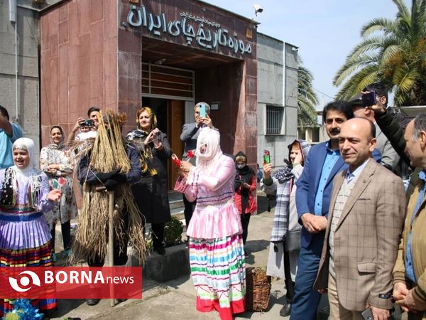 جشنواره نوروزی موزه تاریخ چای ایران