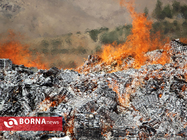 امحای 33 میلیون نخ سیگار قاچاق در شیراز