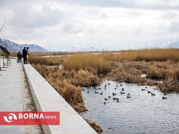 زریبار کردستان