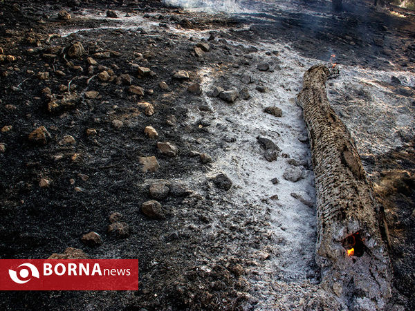 آتش سوزی در "تنگه ی شاه بیشه" آبدانان