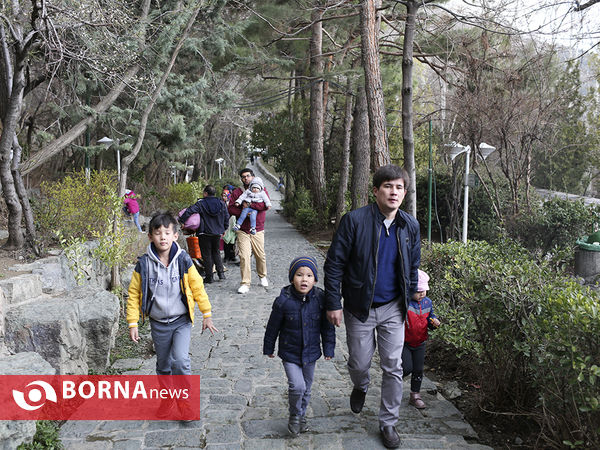 پارک جمشیدیه تهران