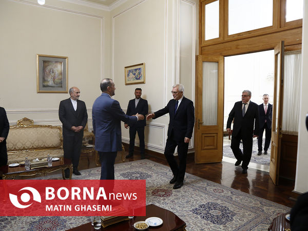 دیدار معاون وزیر خارجه روسیه با امیرعبدالهیان