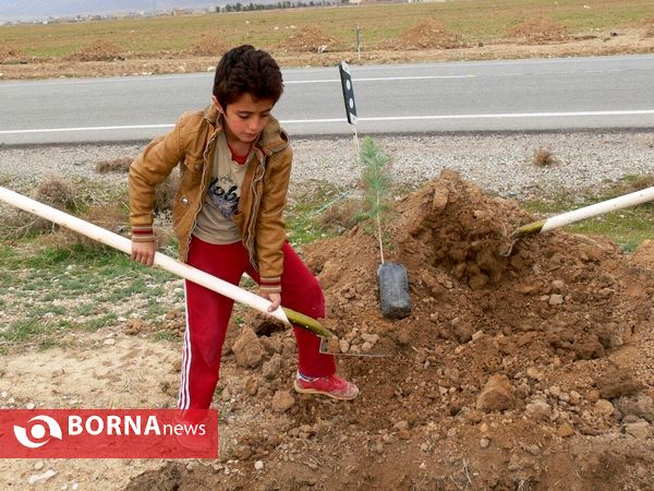 آغازفعالیتهای درختکاری در رومشکان درآستانه هفته منابع طبیعی