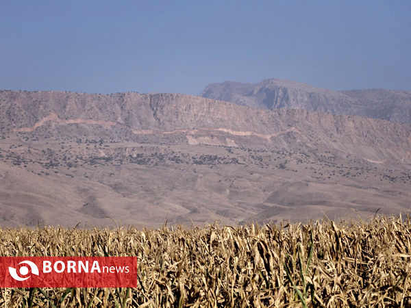 روستاهای ویران شده کرمانشاه، پنج روز بعد از زلزله