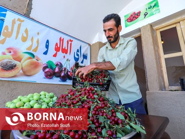 جشنواره آلبالو و گیلاس در دهستان اناج