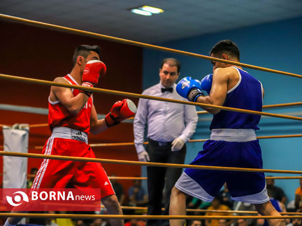 مسابقات بوکس قهرمانی بزرگسالان استان مرکزی