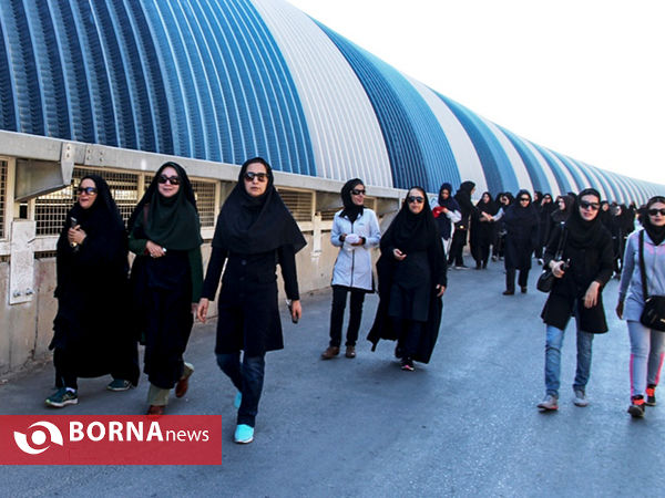 پیاده روی ورزشی ویژه بانوان کارمند- شیراز