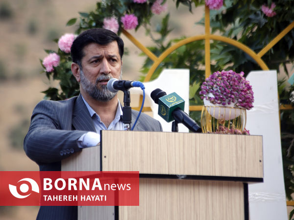 برداشت گل در وسیع ترین دشت دیمی گل محمدی جهان در لایزنگان داراب