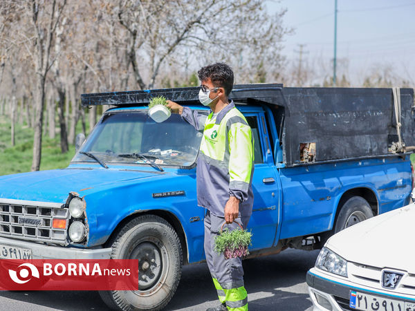 مشارکت در نظافت شهر