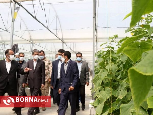 بازدید مسئولین استانی آذربایجان‌غربی از پروژه‌های شهر سرو