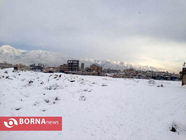 بارش نخستین برف پاییزی در تهران