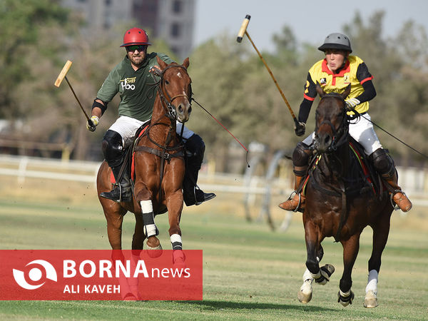 لیگ  ملی چوگان