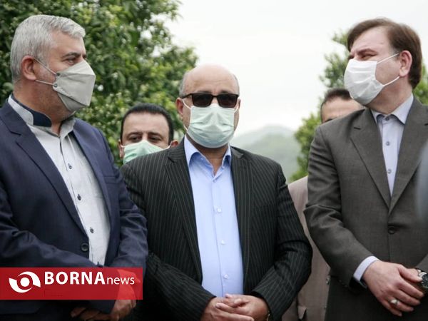 برداشت نخستین برگ چای در سال ۱۴۰۰