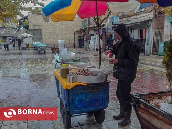 شيراز زیبای بارانی