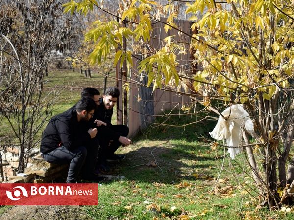رقابت‌ قهرمانی اتومبیل‌رانی درگ استان کرمانشاه