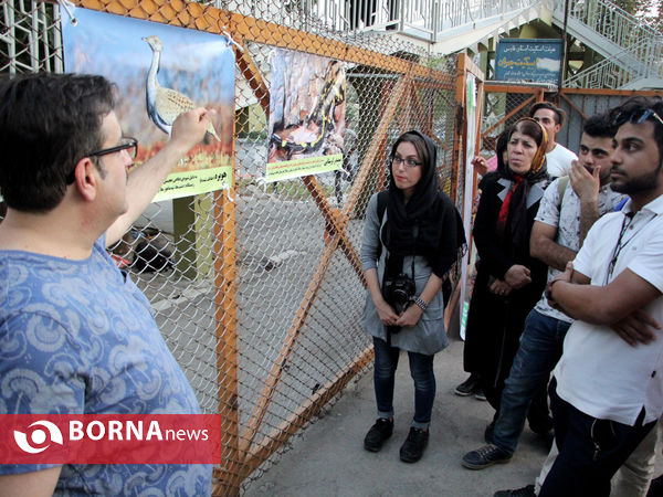 گرامیداشت روز ملی یوزپلنگ ایرانی در شیراز