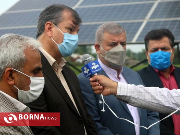 بازدید معاون وزیر جهاد کشاورزی از باغات چای در لاهیجان