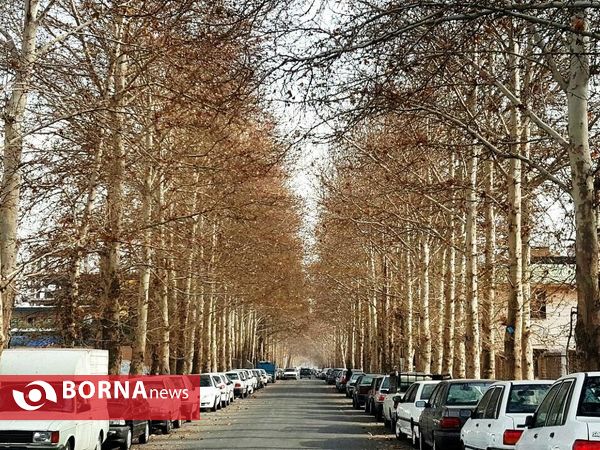 آخرین لحظات پاییزی