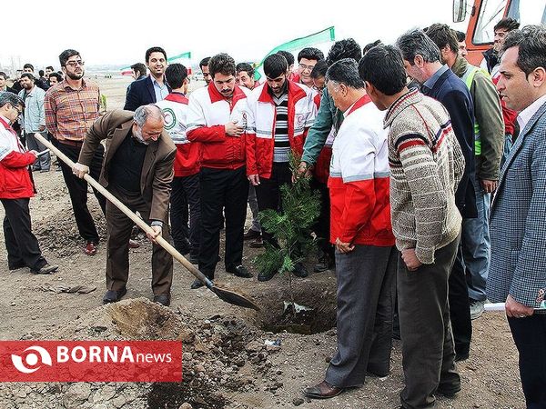 روز درختکاری در شهرستان خوی