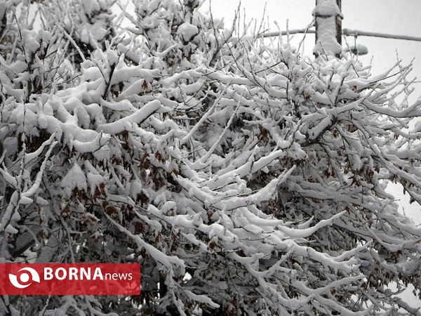 بارش نخستین برف پاییزی در تهران