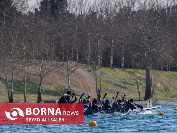  لیگ برتر دراگون‌بوت