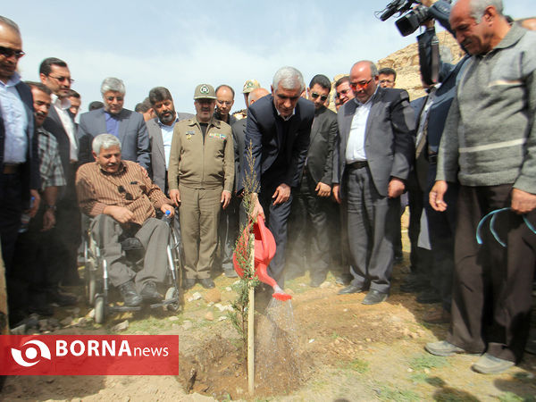 آیین هفته درختکاری در شیراز