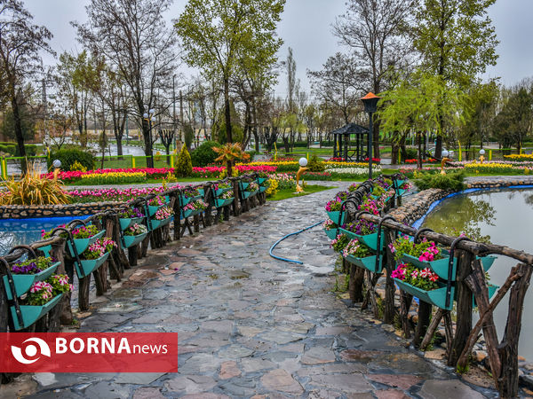 جشنواره گل‌های لاله